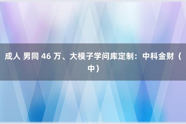 成人 男同 46 万、大模子学问库定制：中科金财（中）