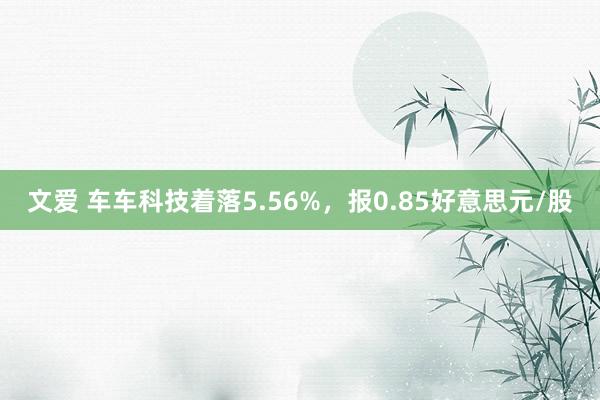 文爱 车车科技着落5.56%，报0.85好意思元/股