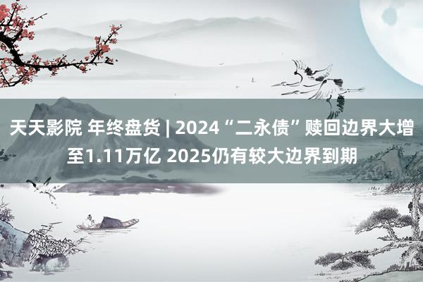 天天影院 年终盘货 | 2024“二永债”赎回边界大增至1.11万亿 2025仍有较大边界到期