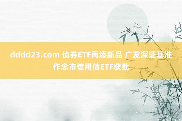 dddd23.com 债券ETF再添新品 广发深证基准作念市信用债ETF获批