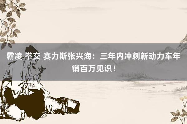 霸凌 拳交 赛力斯张兴海：三年内冲刺新动力车年销百万见识！