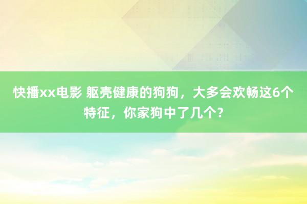 快播xx电影 躯壳健康的狗狗，大多会欢畅这6个特征，你家狗中了几个？