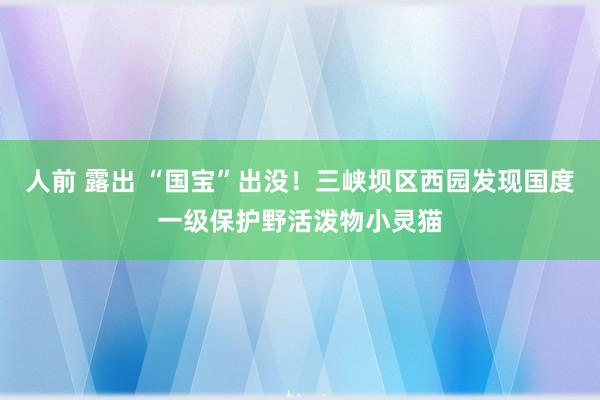 人前 露出 “国宝”出没！三峡坝区西园发现国度一级保护野活泼物小灵猫