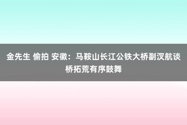 金先生 偷拍 安徽：马鞍山长江公铁大桥副汊航谈桥拓荒有序鼓舞