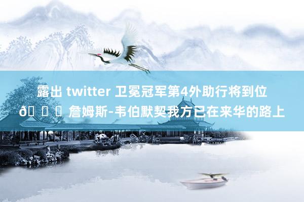 露出 twitter 卫冕冠军第4外助行将到位👀詹姆斯-韦伯默契我方已在来华的路上