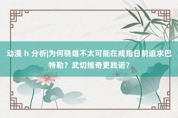 动漫 h 分析|为何骁雄不太可能在戒指日前追求巴特勒？武切维奇更践诺？