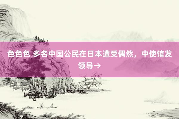 色色色 多名中国公民在日本遭受偶然，中使馆发领导→