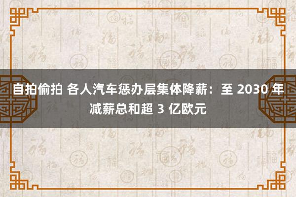 自拍偷拍 各人汽车惩办层集体降薪：至 2030 年减薪总和超 3 亿欧元