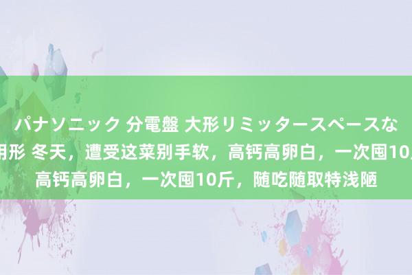 パナソニック 分電盤 大形リミッタースペースなし 露出・半埋込両用形 冬天，遭受这菜别手软，高钙高卵白，一次囤10斤，随吃随取特浅陋