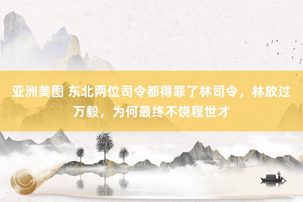 亚洲美图 东北两位司令都得罪了林司令，林放过万毅，为何最终不饶程世才