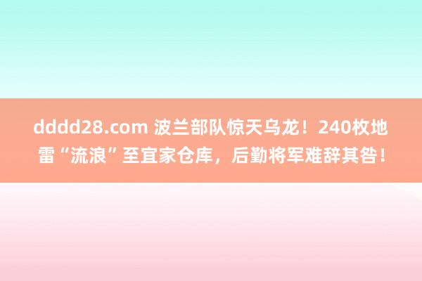 dddd28.com 波兰部队惊天乌龙！240枚地雷“流浪”至宜家仓库，后勤将军难辞其咎！